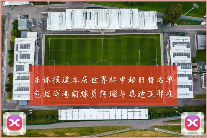 东体报道本届世界杯中超旧将名单包括海港前球员阿瑙与恩迪亚耶在内的10位球员